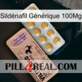 Sildénafil Générique 100Mg 41